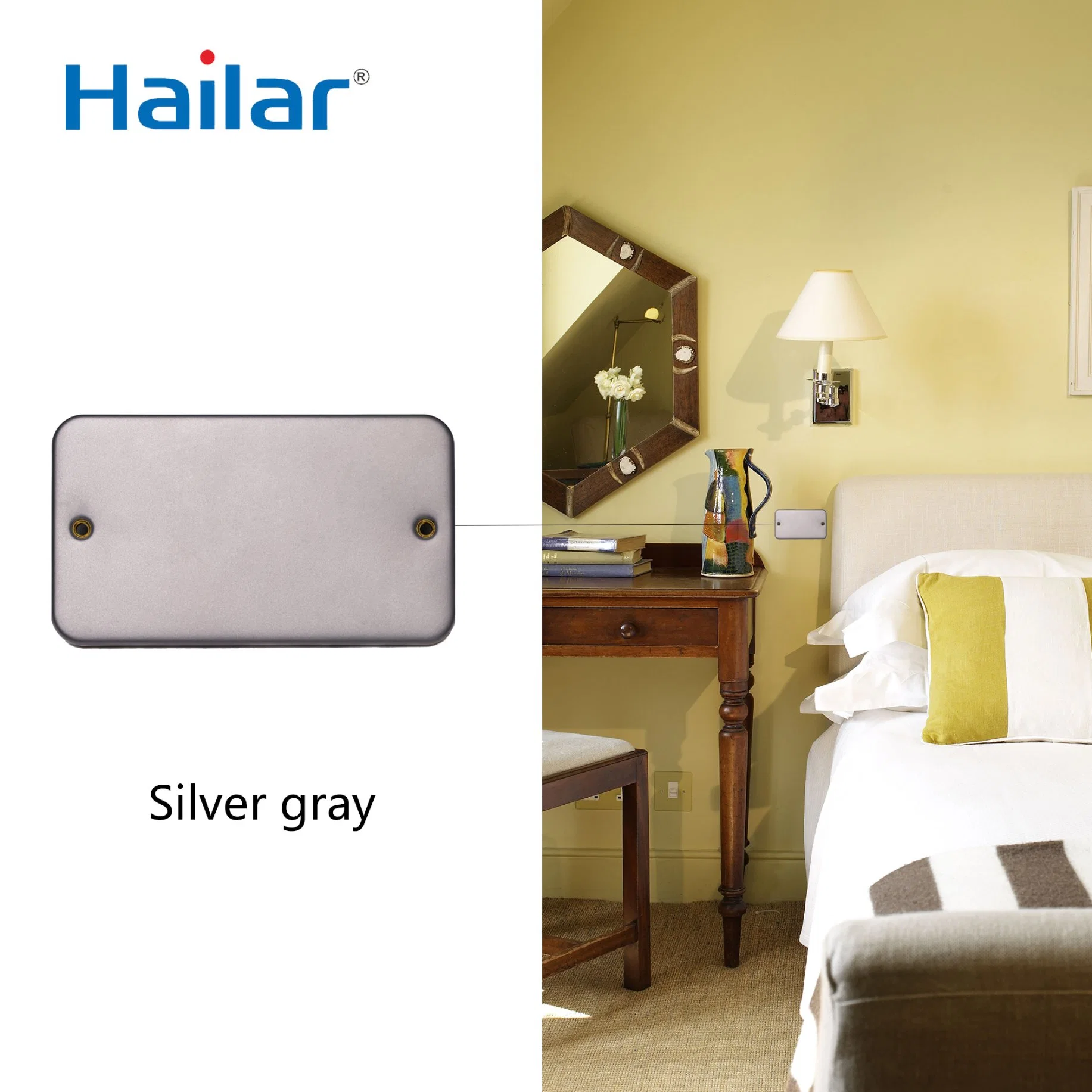 Hailar Metal 2 Gang Blank Wall Switch Plate