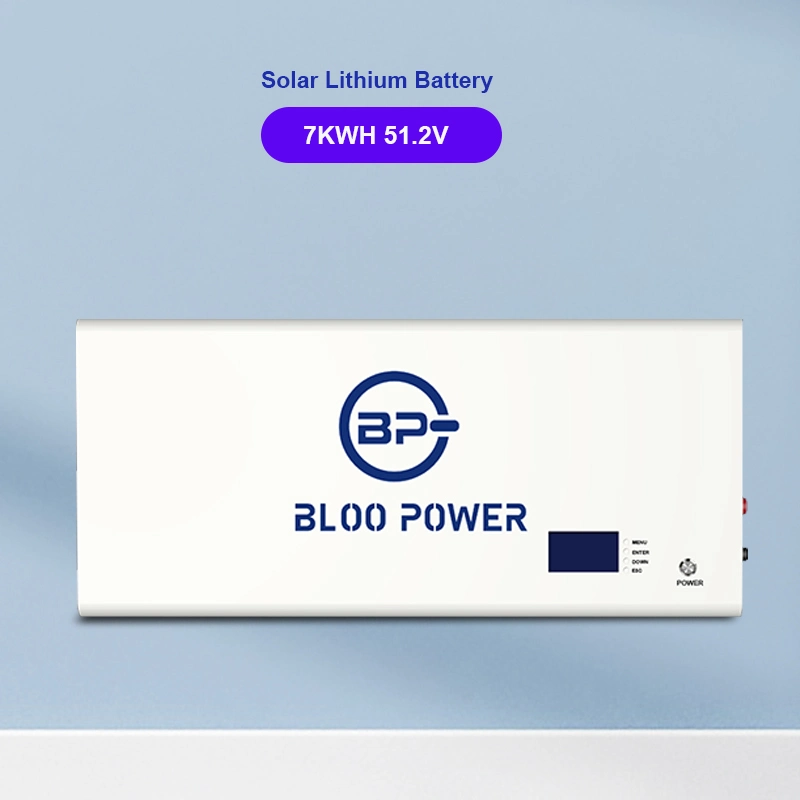 Bloopower 5kwh Ion Home Use Pack 10 Kw Kwh Source Backup 5.12kwh Electric BMS Chargers House Supply at Home on Grid Storage Battery