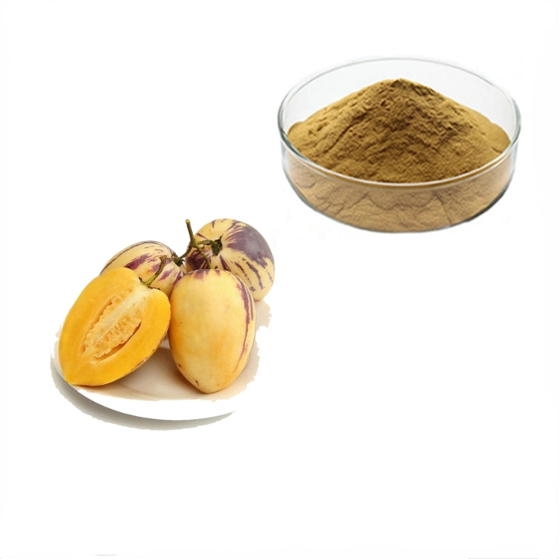 Hersteller von Halal &amp; Kosher Ginseng Fruchtextrakt