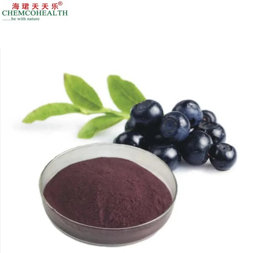 100% Natural Food Grade Rich in Anthocyanins Bilberry Extract