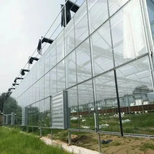 Venlo Dutch Type Glass Greenhouse for Commercial Flower or Vegetables Growing Like Tomato Lettuce Pepper Agricultural Greenhouse