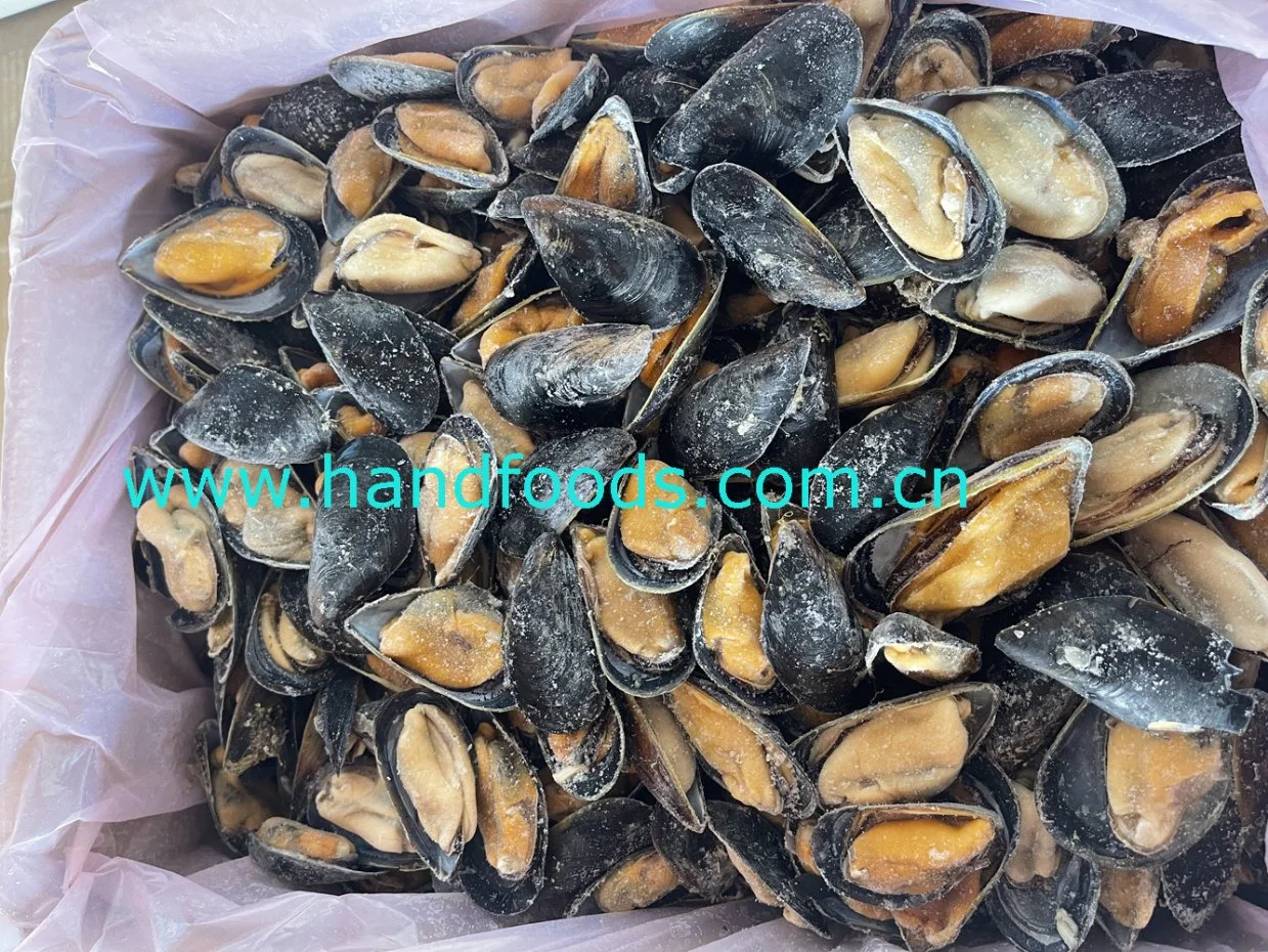 Good Quality Seafood of Frozen Cooked Half Shell Blue Mussel for People's Healthy 100% Natural