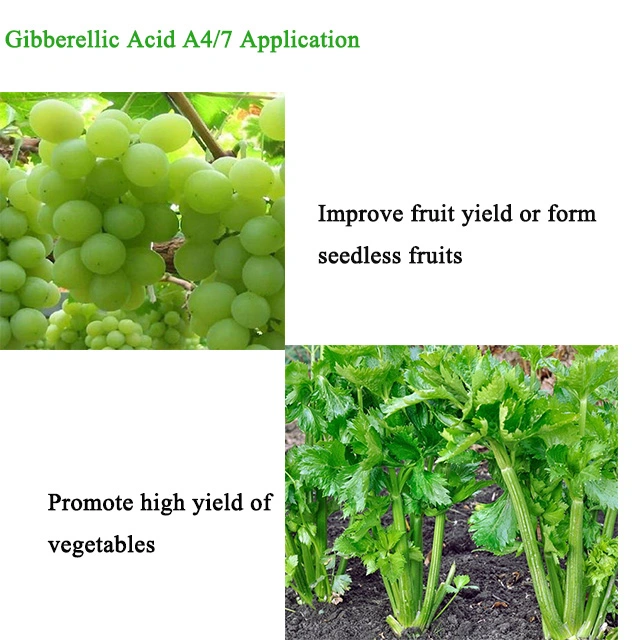 Chemicals Ga47 90tc Gibberellic Acid Ga4 7 Auxin in Agriculture