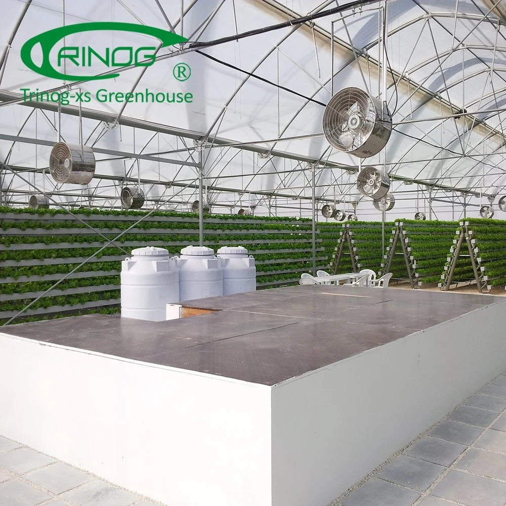 Trinog Greenhouse EIN Rahmen stehen vertikale hydroponics System zum Verkauf