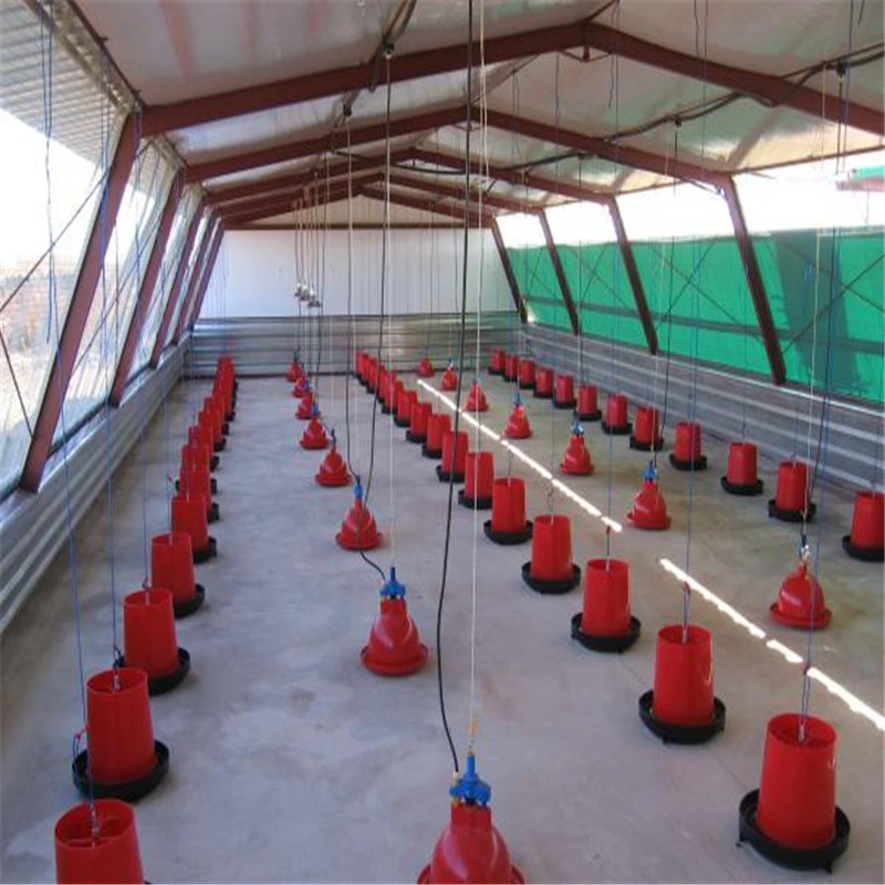 El bastidor de acero prefabricados de estructura de la construcción de pollos de granja de aves de corral Gallinero prefabricados con el conjunto completo Equipo para avicultura Equipo para la fábrica de pollo