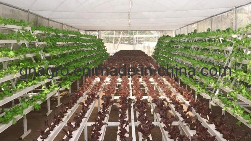 Los sistemas de cultivo vertical de plástico fresas canal para la Agricultura Nft