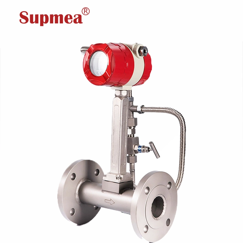 Biogas Flow Meter Argon Gas Flow Meter Steam Flow Meter Price List