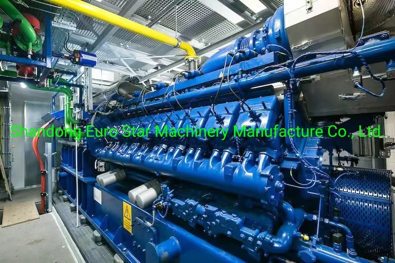 1MW Natural Gas Generator for Power Plant