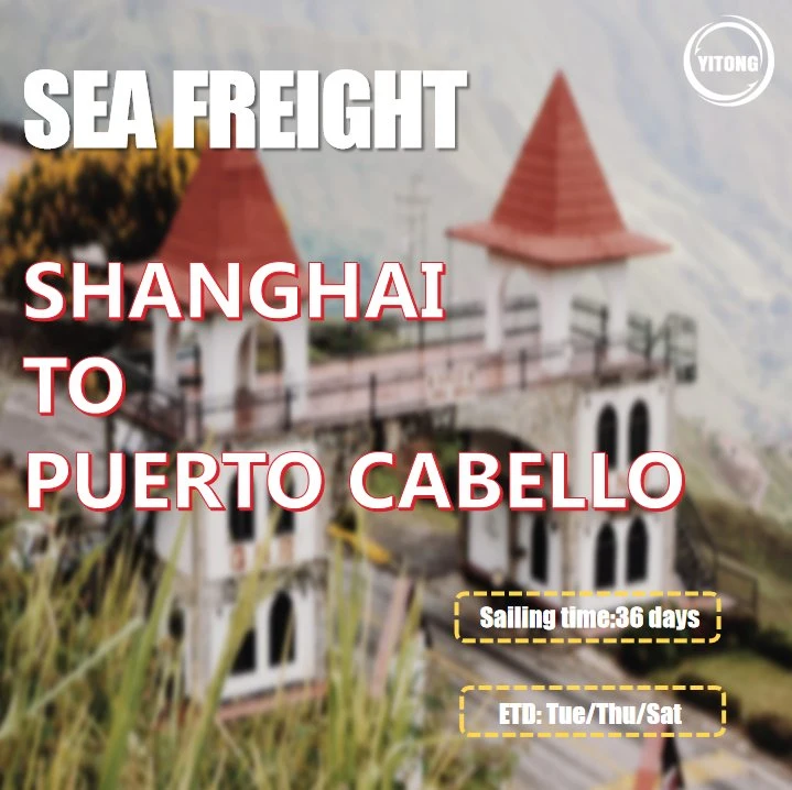 Shipping Agent From Shanghai to Puerto Cabello Venezuela