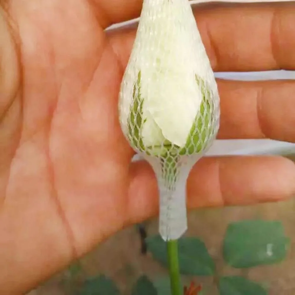 Новый дизайн упаковки фруктов Net/Flower Bud защитной сетки с привлекательной цене