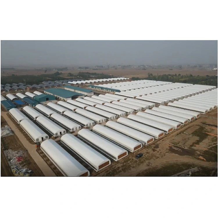 Agricultural Plastic Film Mushroom Planting Greenhouse