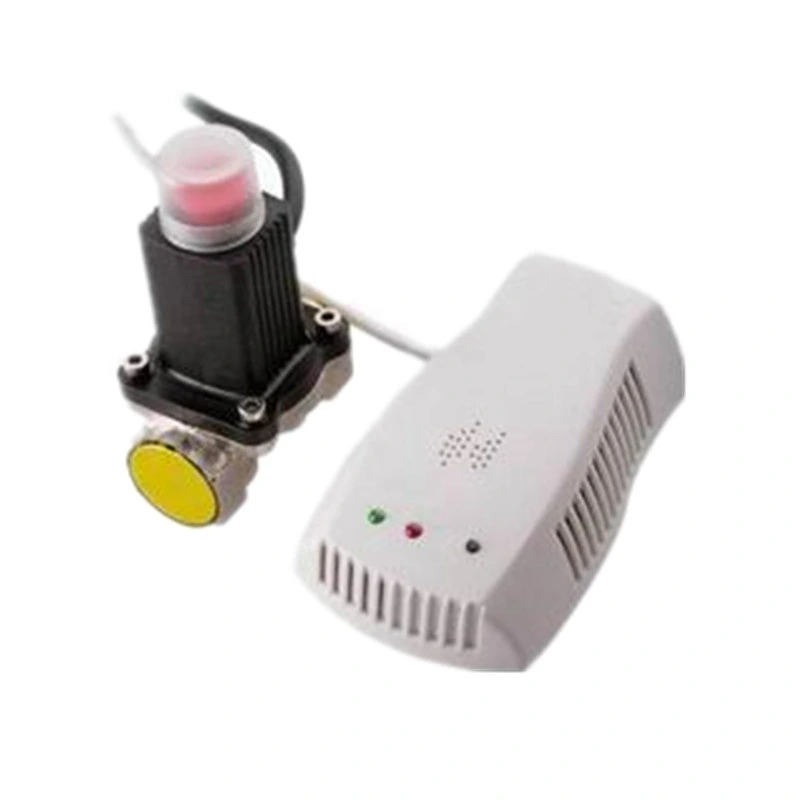 CE Approved Domestic Gas Leak Detector Alarm for Natural Gas LPG Gas Detection