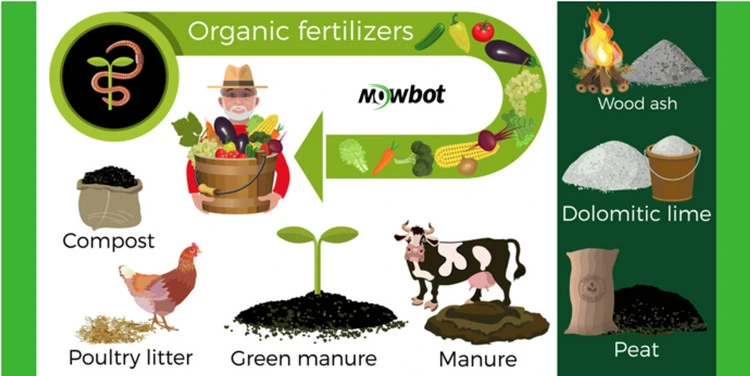 Animais e esterco de máquina de tratamento de resíduos animais Esquartejadouro Adubo composto a linha de produção de adubo orgânico de máquinas agrícolas