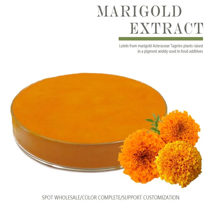 Зажигания марки Marigold извлечения Lutein эфир Lutein Cws порошок