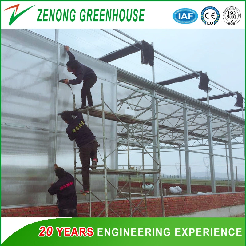 Polycarbonate Board Greenhouse for Vertical Farming