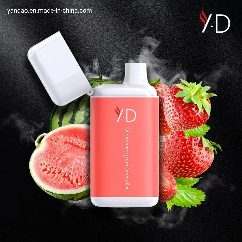 Mayorista/Proveedor de cigarrillos electrónicos OEM/ODM de la bobina de malla 5000bocanadas 10ml 650mAh Vape desechables Pen