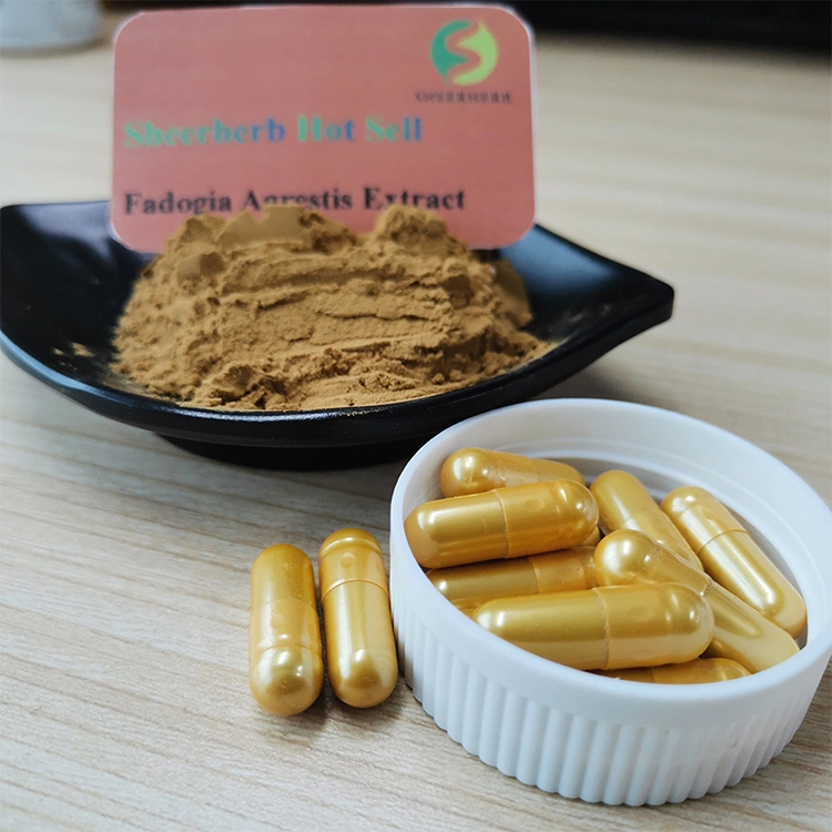 Sheerherb OEM Private Label Fadogia Agrestis and Tongkat Ali Extract Supplement Capsule