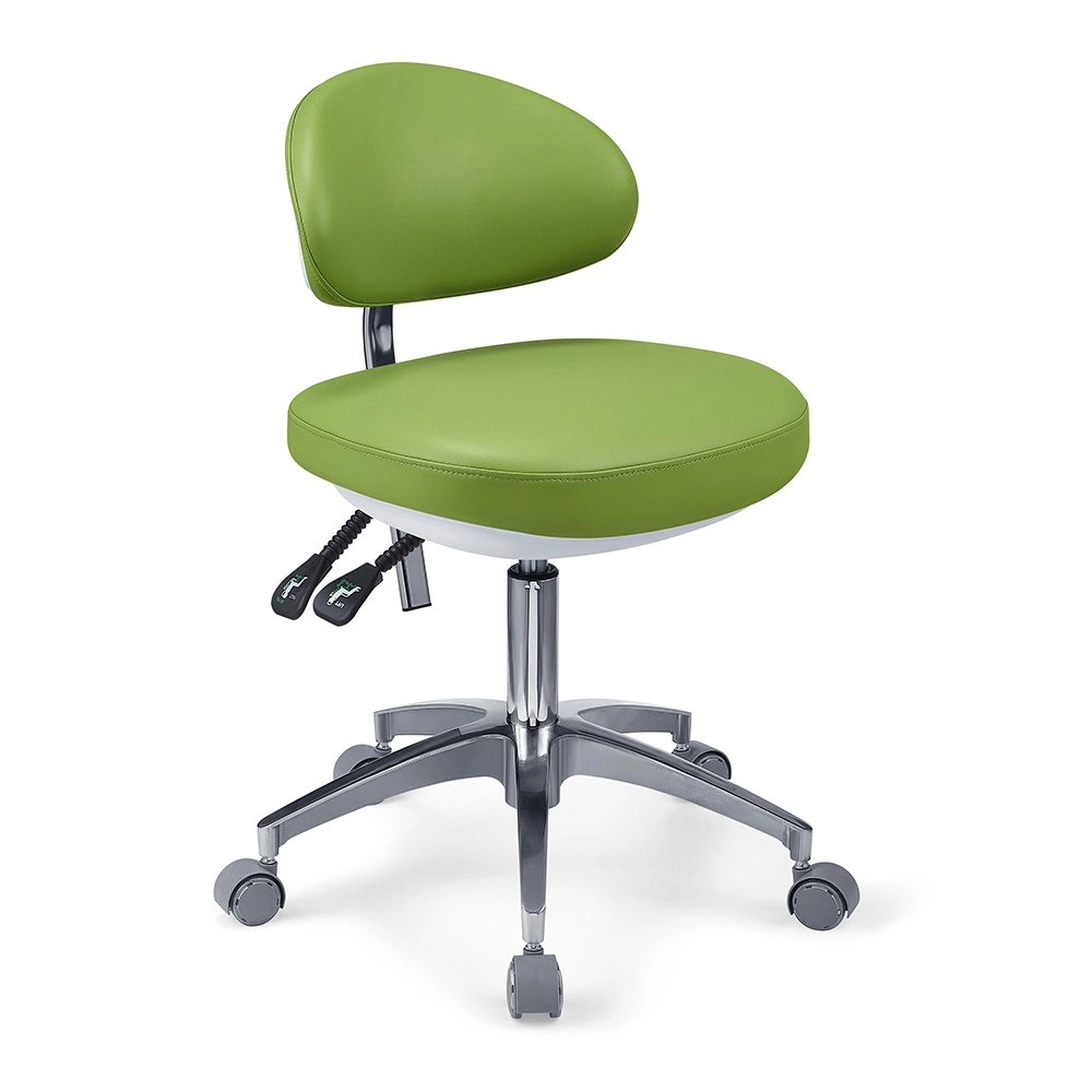 Luxury Model Dental Chair with European Style Light Gd-450