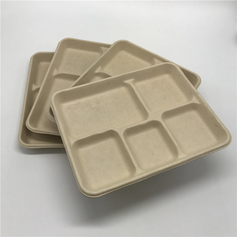 Multiple 5 Compartment Eco Biodegradable Disposable Fast Food Packaging Bagasse Tray