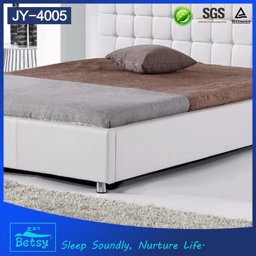 New Fashion Metal Bed with Durable and Comfortable