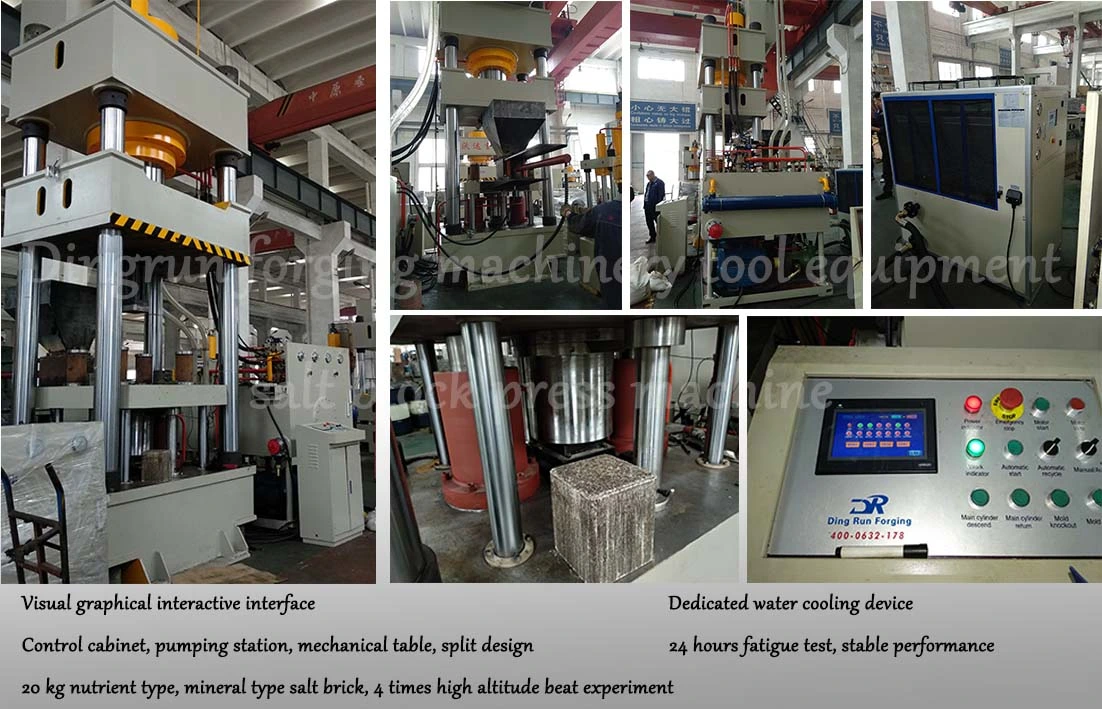 Press Machine Livestock Mineral Salt Block Prodcution Line Turnkeys Projects