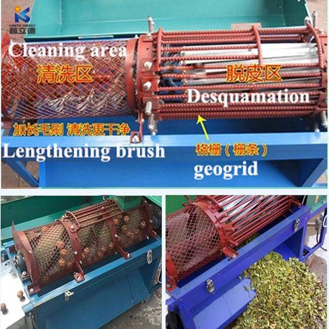 High quality/High cost performance Fast Speed Automatic Factory Sale Price Professional Black Walnut Shelling Machine