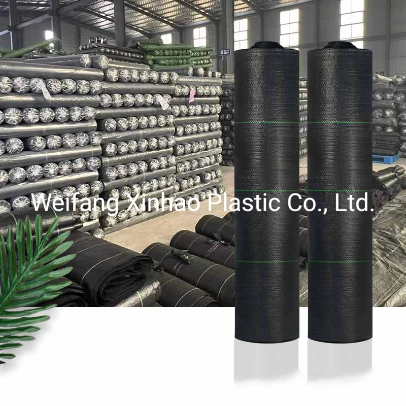 PP Woven Weed Control Mat /Plastic Ground Cover/ Black Plastic Weed Barrier