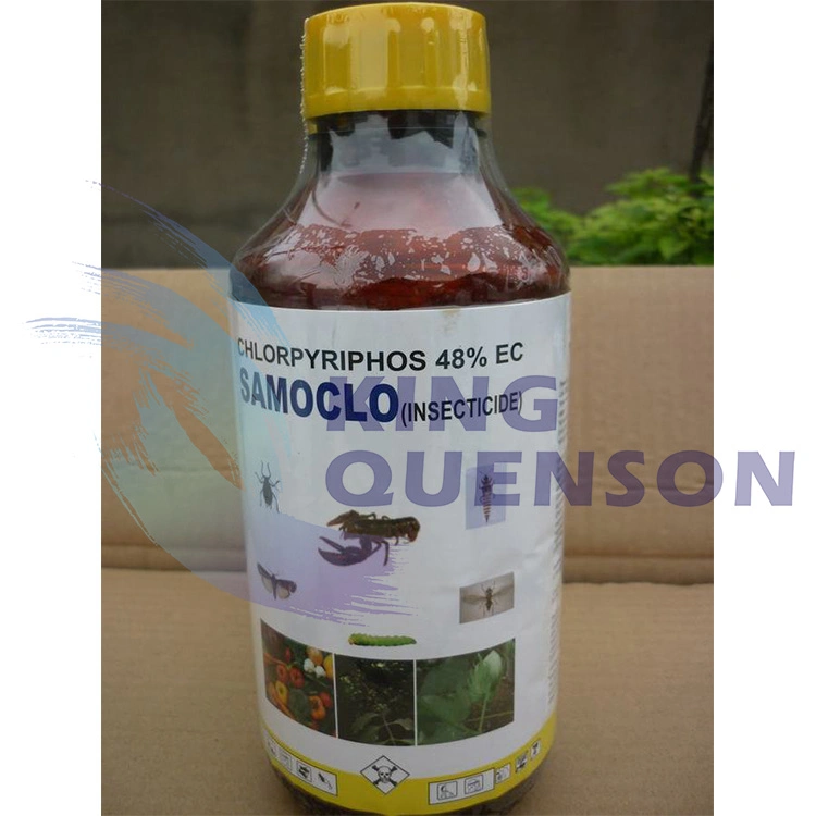 King Quenson Fast Deliveryl Insecticide 97% Tc Chlorpyrifos 25% Wp Agrochemicals
