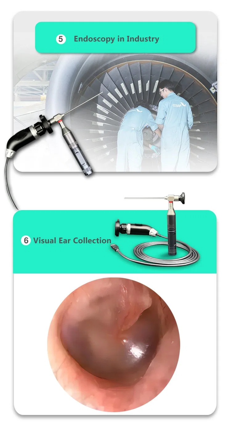 L'endoscopie médicale vidéo visuel étanche Imaging System Système de caméra de l'endoscope Portable pour chevaux ovins de vache Cochon