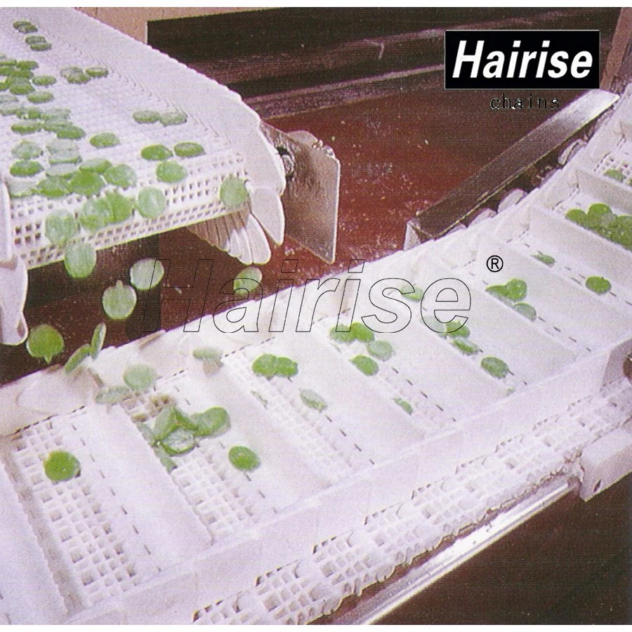 Hairise Scale Chute Motorized Material Handling Skid Conveyors