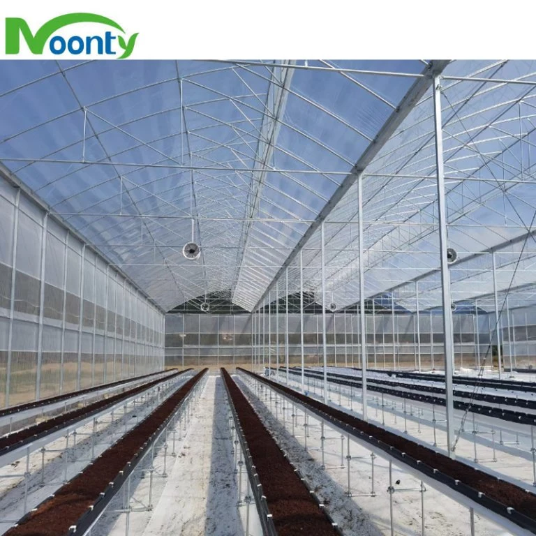 Factory Customized Turnkey High quality/High cost performance  Multispan Plastic Film Greenhouse with Hydroponics System