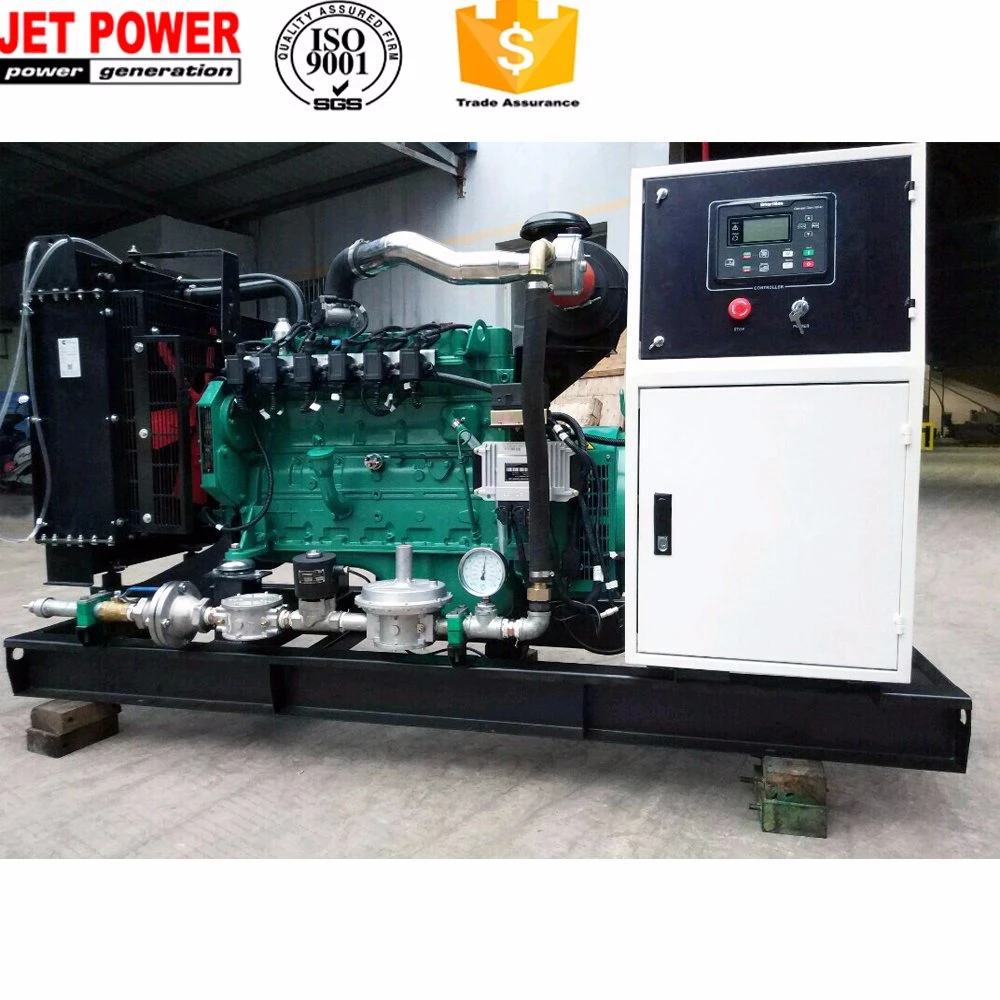 500kw 1 MW Propane Gas Generation Equipment Natural Gas/ Biogas/LPG Generator