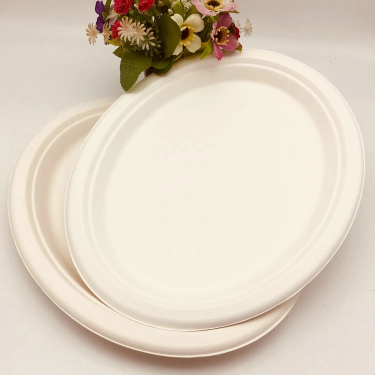 Hot Selling Sugarcane Bagasse Plates Medium Oval Plate