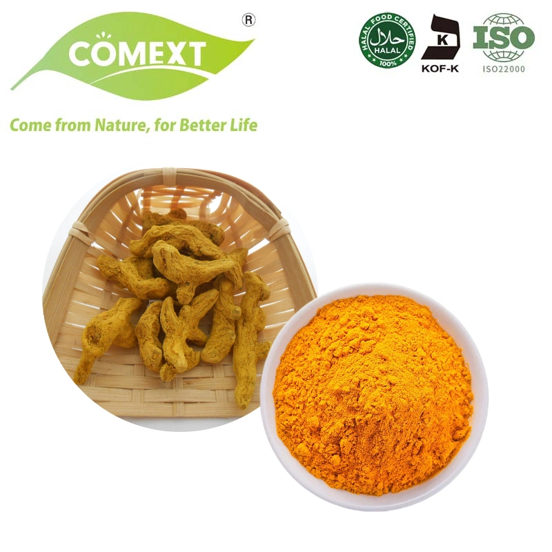 Comext Curcuma de gros en vrac La curcumine extrait de Curcuma en poudre de 95 %