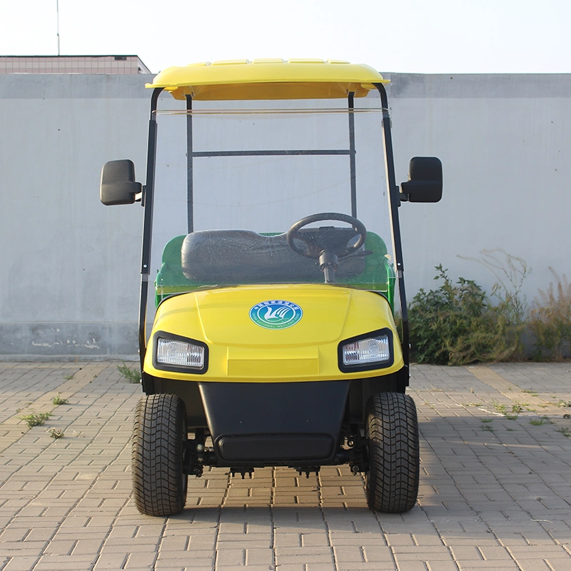 New Arrival Customized 2 Seats Mini Electric Golf Car with Cargo Bucket