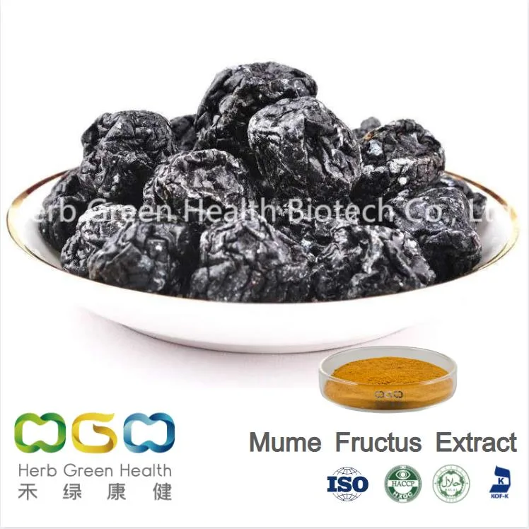 Fábrica China suministro de edulcorante Natural Extracto de ciruela Negro / Fructus Mume / ahumado Polvo de ácido citrato de Extracto de ciruela