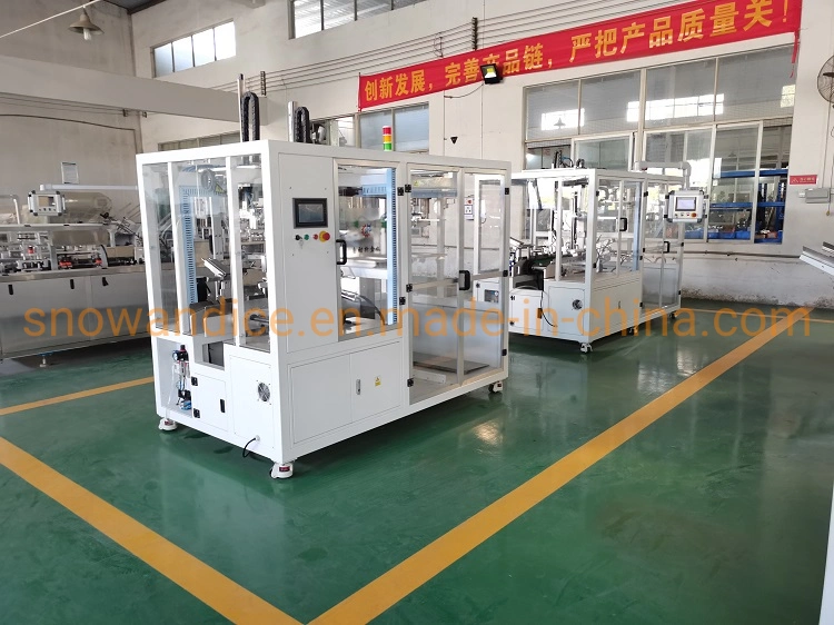 Top Loading Automatic Case Packer Less Than 80 dB