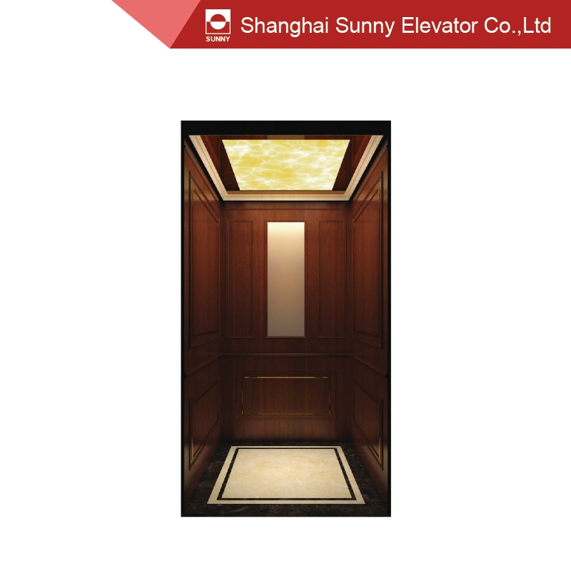 Home Elevator Ceiling Steel Plate Baking Paint and LED Lighting