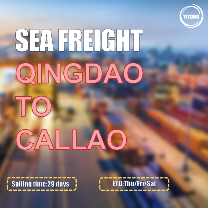 International Logistics Shipping Service From Guangzhou to Callao Peru