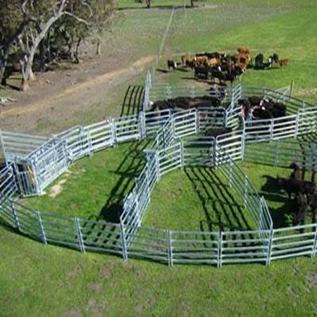 Australia Standard 1.8mx2.1m Oval Rail Livestock Farm Fence Cattle Corral Panels