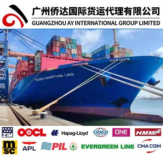 Fret maritime pour 20/40FT conteneur expédition de la Chine à Fidji (Port Suva/Lautoka)