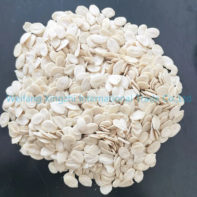 Large Size Watermelon Seeds Cheap Price Melon Seeds Without Shell