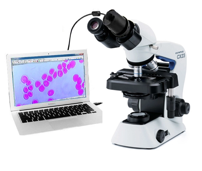 Low Price Binocular Olympus Microscopes Cx23 Digital Electron Microscopes Prices