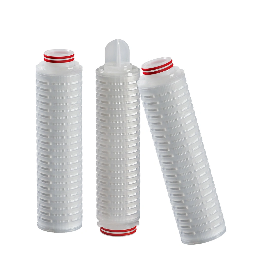 Darlly 0,45+0,22um High Safety Double Layer Polyethersulfon (PES) Membran geflisselt Filterkartuschenfür Die Sterile Endfiltration