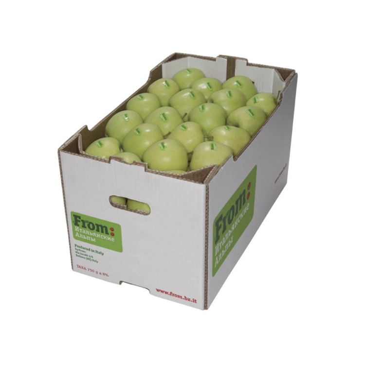 Impressão personalizada de papelão ondulado de embalagens de papel bandeja de maçã