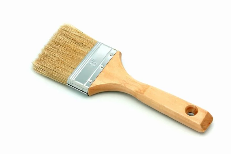 Nature Bristle, Clear Varnished, Wood Handle Paint Brush
