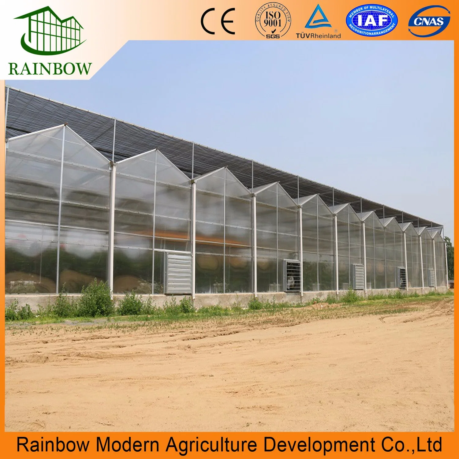 Venlo Roof Multi Span Polycarbonate Greenhouse