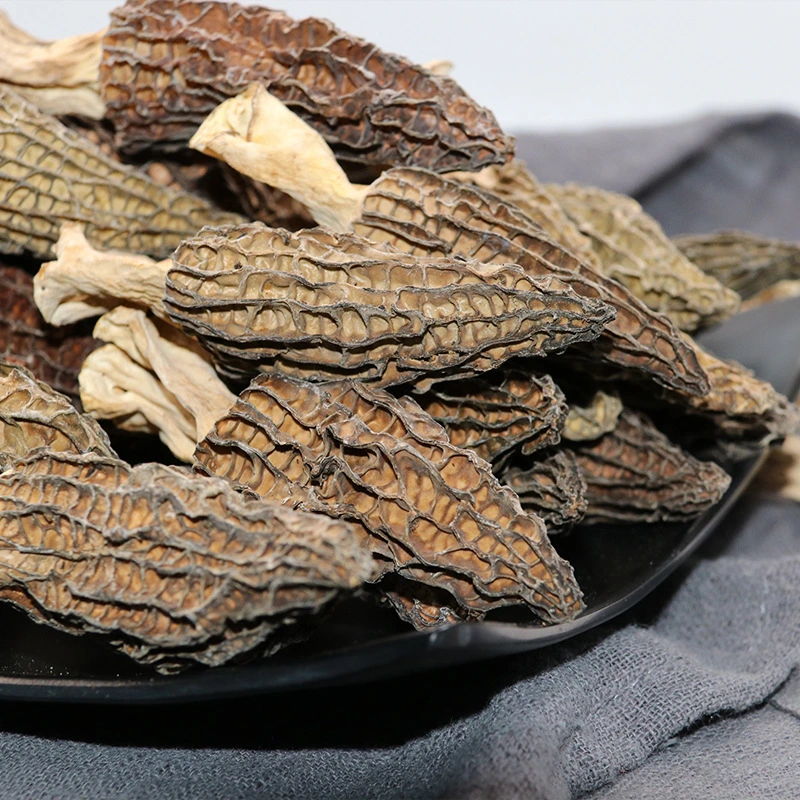 Venta caliente natural puro de alta calidad de alimentos orgánicos Setas Deshidratadas Morels Morel