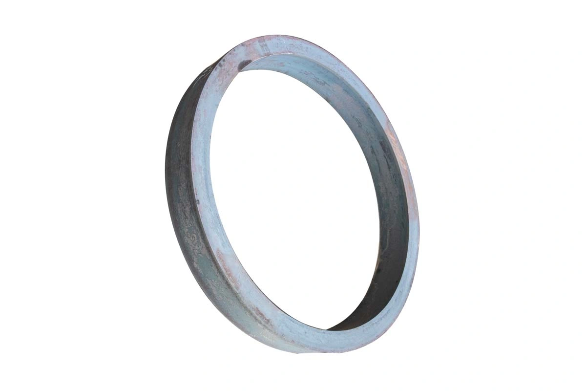 Stainless Steel Ring, Flange, Ring Forging Blank and Shipbuilding Industries