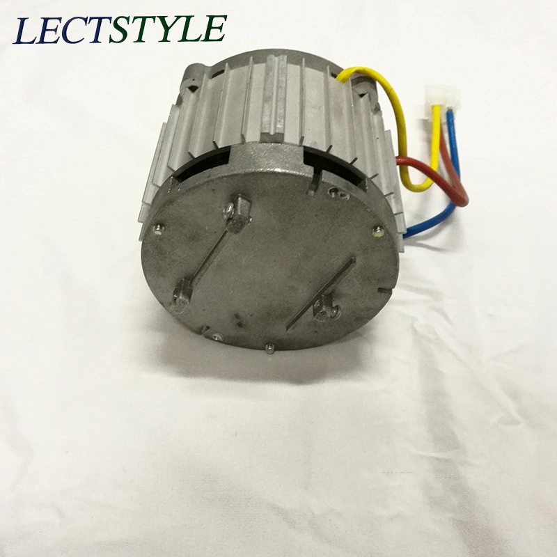 48V 500W Brushless DC Direct Drive Electric Motor